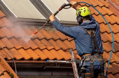 Démoussage et hydrofuge de toiture à Vaudebarrier